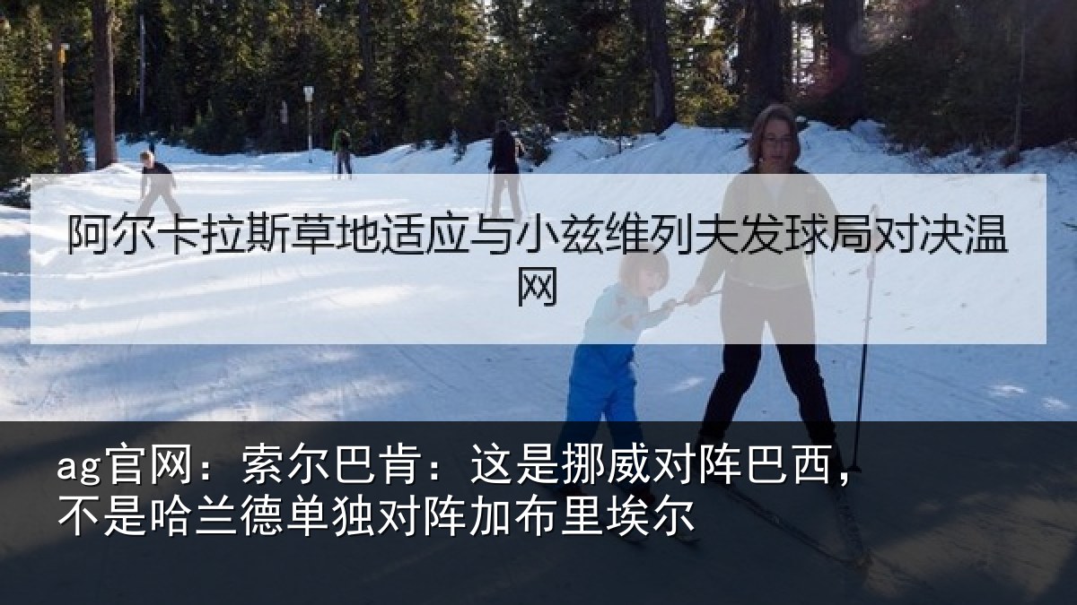ag官网：索尔相关情况巴西相关情况阵加布里埃尔