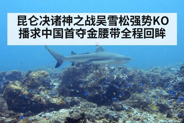 昆仑决诸神之战吴雪松强势KO播求中国首夺金腰带全程回眸